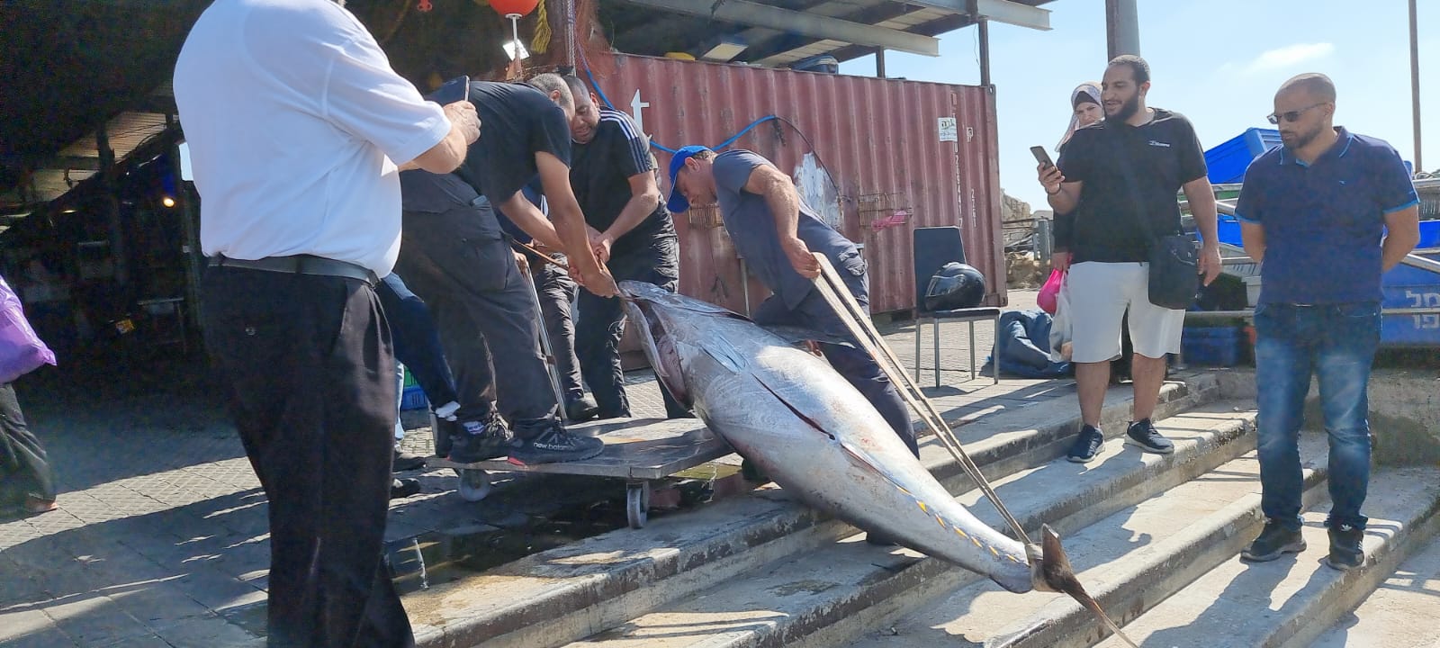 WhatsApp Image 2022-05-25 at 4.39.10 PM.jpeg